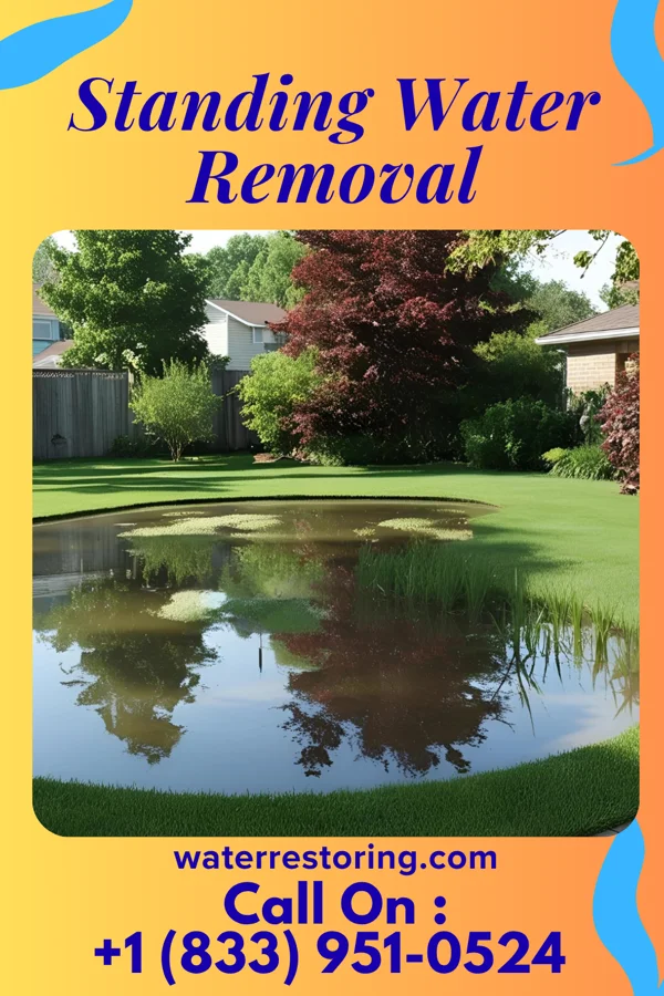Standing Water Removal in Milton, ND